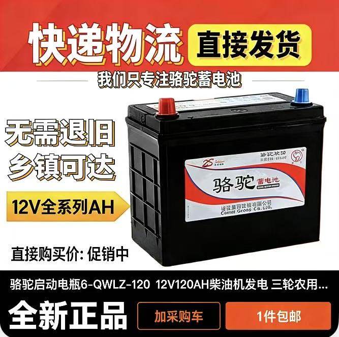 Аккумулятор Camel battery 12v аккумулятор 6-QWLZ-120AH для подвешивания грузов и пассажиров 100 вилочный погрузчик 85 легковой автомобиль 200 сельскохозяйственная техника 180