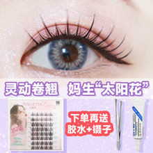 The store's repeat customers come in thousands of colors. Lazy Trilogy, False Eyelash Girl, Natural Simulation, Transparent Stems, Segmented Fairy Hair Comics, Little Devil Eyelash