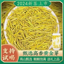 正宗黄金芽茶叶2024新茶明前特级高山绿