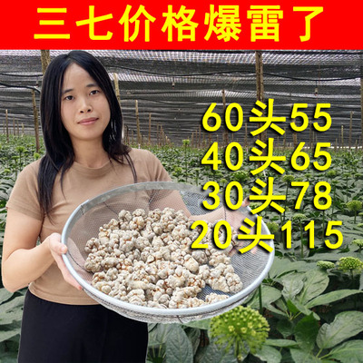 Panax notoginseng подлинный Юньнань Вэньшань китайские травяные лекарства 37 специальный сорт 20 головок 500 г Panax notoginseng официальный флагманский магазин Panax notoginseng порошок