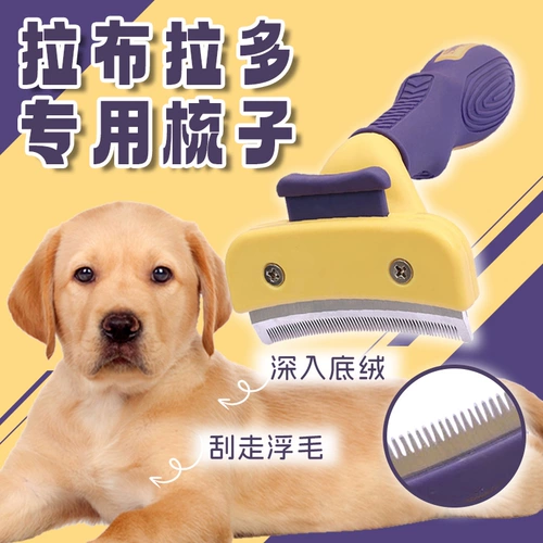 Специальная расческа лабрадора, собачья собака расчесывает пушистый артефакт, чтобы поплавать волосы, узел узел, царапина волос
