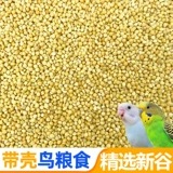 Новый ремень раковина Huangguzi Xiaomi Bird Tiger Peony Muddy Phoenix Маленькие и маленькие птицы и птицы кормят птиц пять фунтов