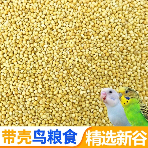 Новый ремень раковина Huangguzi Xiaomi Bird Tiger Peony Muddy Phoenix Маленькие и маленькие птицы и птицы кормят птиц пять фунтов