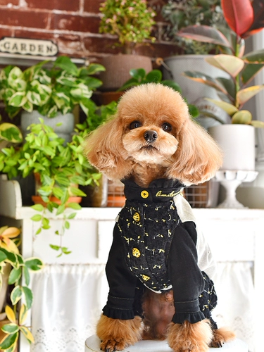 Жилет, осенние штаны, в стиле Шанель, коллекция 2023, осенний