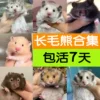 Товары от 贝贝窝宠物用品旗舰店