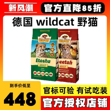 Wild Cat фото