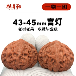 [文玩核桃老树宫灯狮子头收藏级野生精品满天星中国大花和尚头把件]