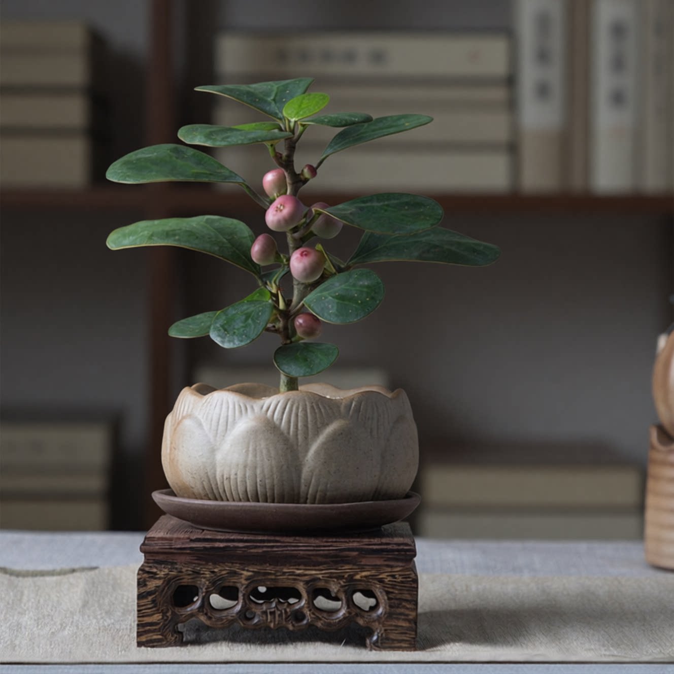 Растения в горшках Xiaopan Bodhi комнатные офисные зеленые растения с фруктами и овощами Китайский Дзен настольные украшения бонсай