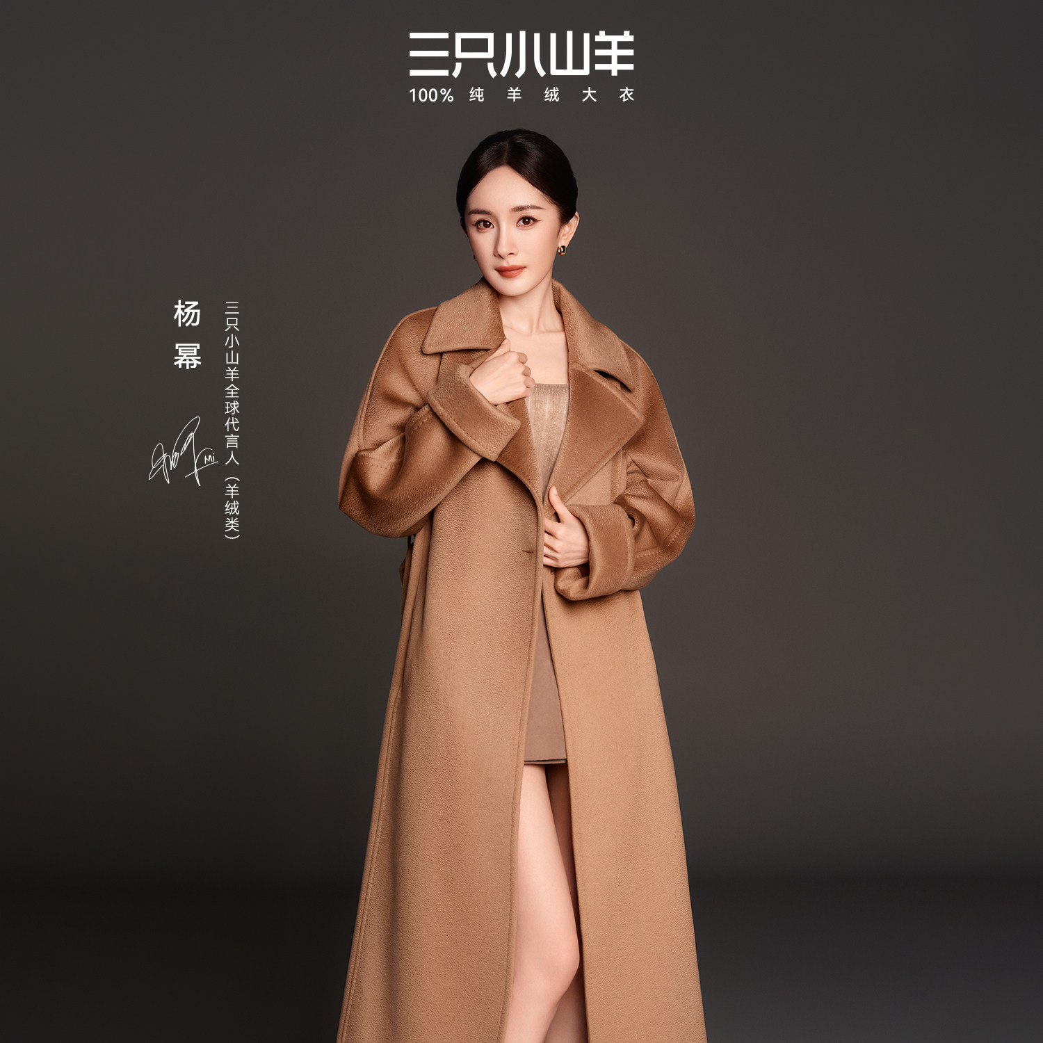 [Героиня серии Diamond Cashmere] Три козочки, пальто из 100% чистого кашемира, комплект для длительного ухода на всю жизнь.