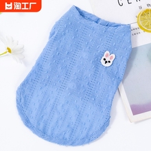 Cat clothing in summer, thin and breathable, preventing hair loss with silver gradient layer