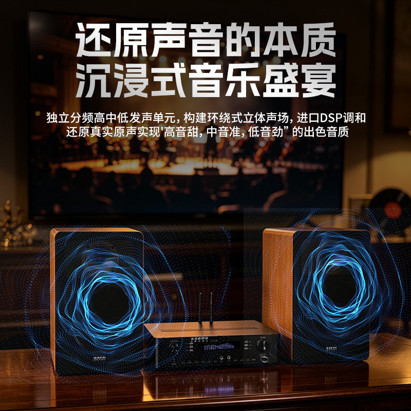 Luteyi мощный десятидюймовый домашний аудиосистема HIFI fever audio set пассивный динамик ТВ караоке-усилитель в комплекте