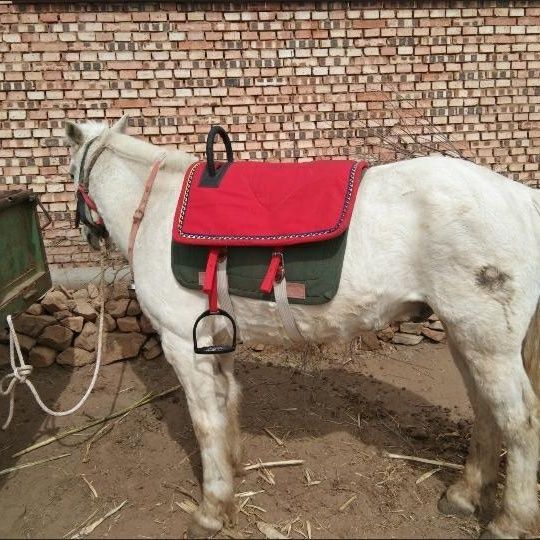 Полный набор навыков для верховой езды и скачек в седле, верховая лошадь, верховая езда, прямые продажи с фабрики, доставка в течение 48 часов