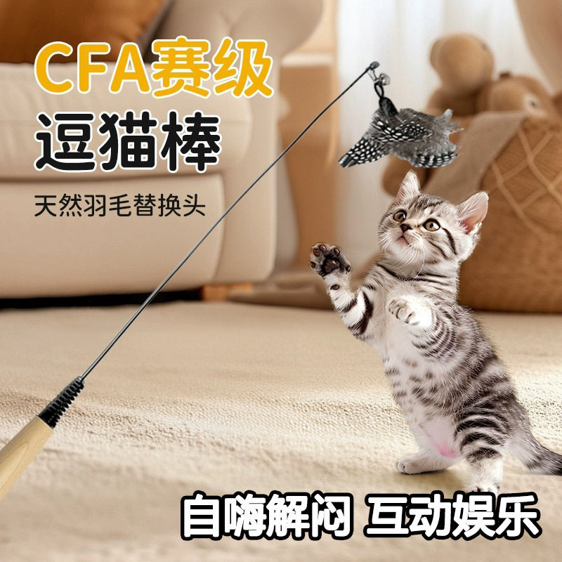 Забавная кошачья палочка CFA соревновательного уровня, длинный шест, игрушка для кошек, маленькое летающее насекомое, сменное перо, устойчивая к укусам голова, принадлежности для котенка cat self-hi