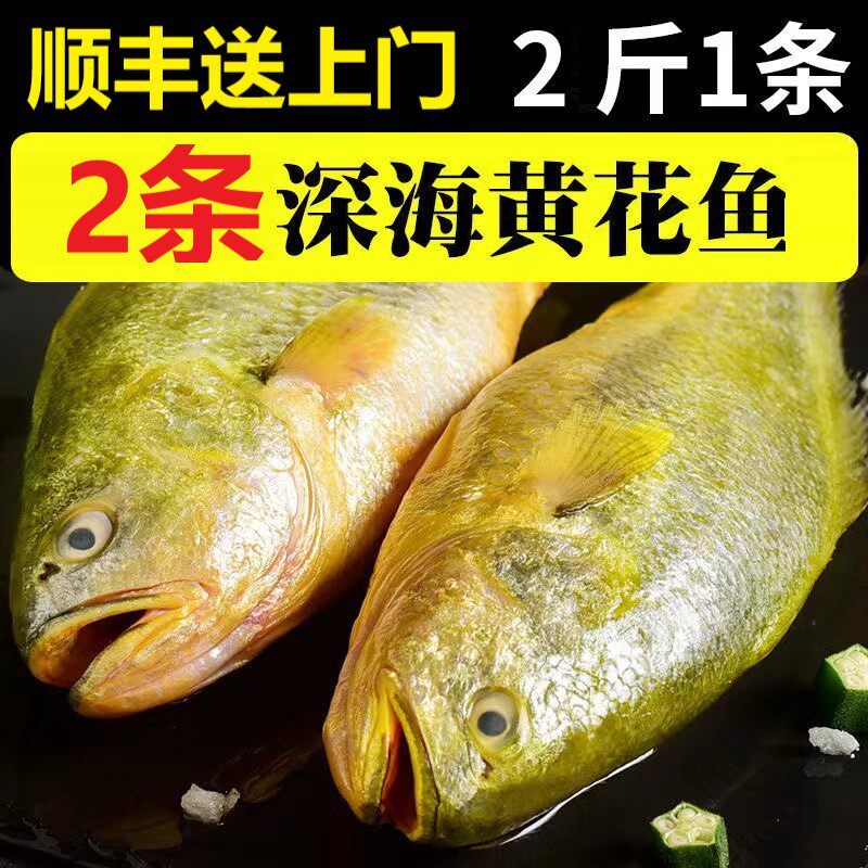 [2 котлетки по 1 штуке*2 кусочка без льда] Очень крупная желтая рыба-цветок, всего 4 котлетки глубоководной желтой рыбы, большая желтая рыба, большой желтый горбыль.