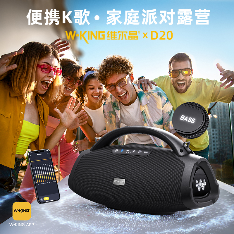 Weierjing D20 портативное караоке Bluetooth аудио диагональ семейный сабвуфер для кемпинга Bluetooth Динамик