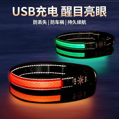 Восемь -лет -магазин магазин с восьми цветными воротниками светящимися домашними домашними домашними животными