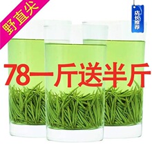 买一斤送半斤毛尖茶绿茶信阳2024明前新茶茶叶浓香型批发500g