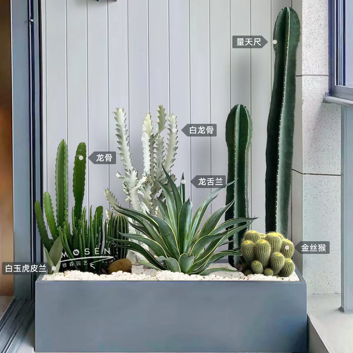Крупномасштабное зеленое растение, готовое сочетание продуктов, украшение ландшафтного дизайна, цветочный ящик в горшке для внутреннего и наружного солнца...