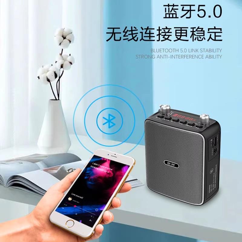 Саксофон беспроводной микрофон мощный Bluetooth bee громкоговоритель Erhu outdoor audio портативный ревербератор