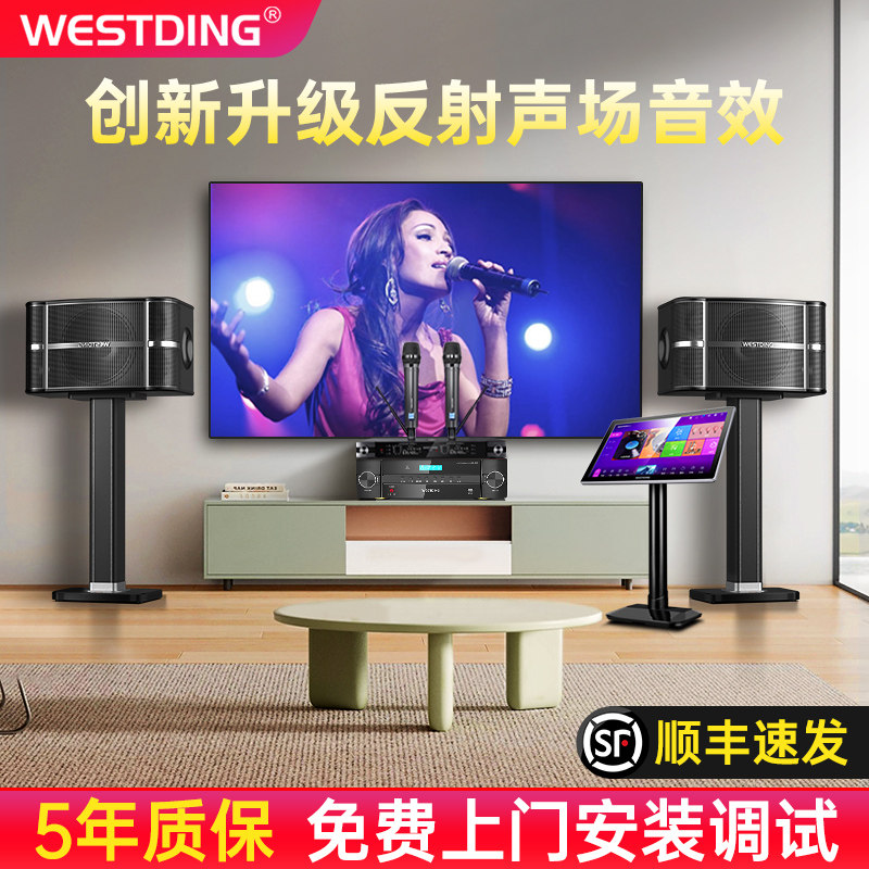 Westin A9 семейный аудиосистема ktv караоке караоке-машина для караоке в гостиной динамик полный комплект домашнего оборудования