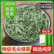 毛尖绿茶2024年新茶叶特级高山云雾官方正品旗舰店非信阳都匀茶