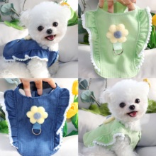 Pet dogs can tow teddy bear and cat clothes