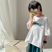 Zhenpinxuan Children's Wear Boys' Short sleeved T-shirt 2024 New Summer Pure Cotton Boys' Top Children's Half sleeved T-shirt Trend