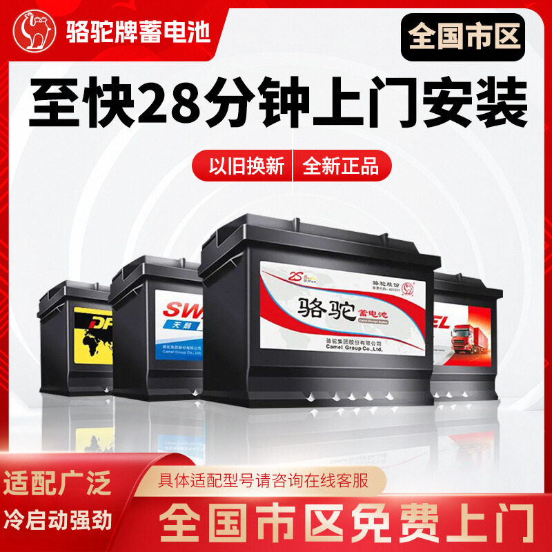 Camel Swan DF Battery Автомобильный аккумулятор 12v60ahL2400 Jetta Santana Lavida Sagitar polo