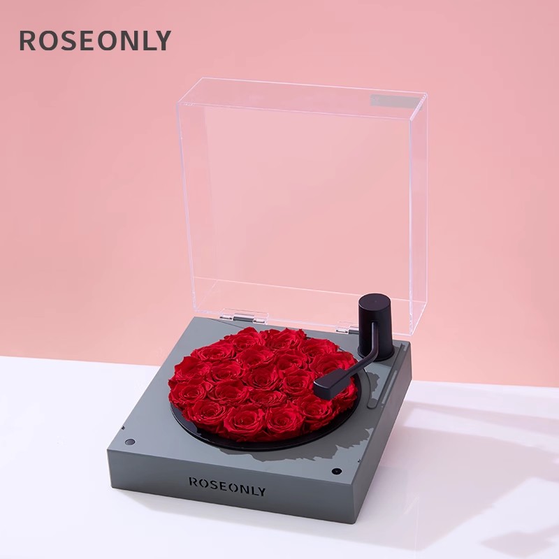 ROSEONLY клянется жить вечно, розовый граммофон Bluetooth для подруги, подарок на День святого Валентина, высококлассное украшение на день рождения