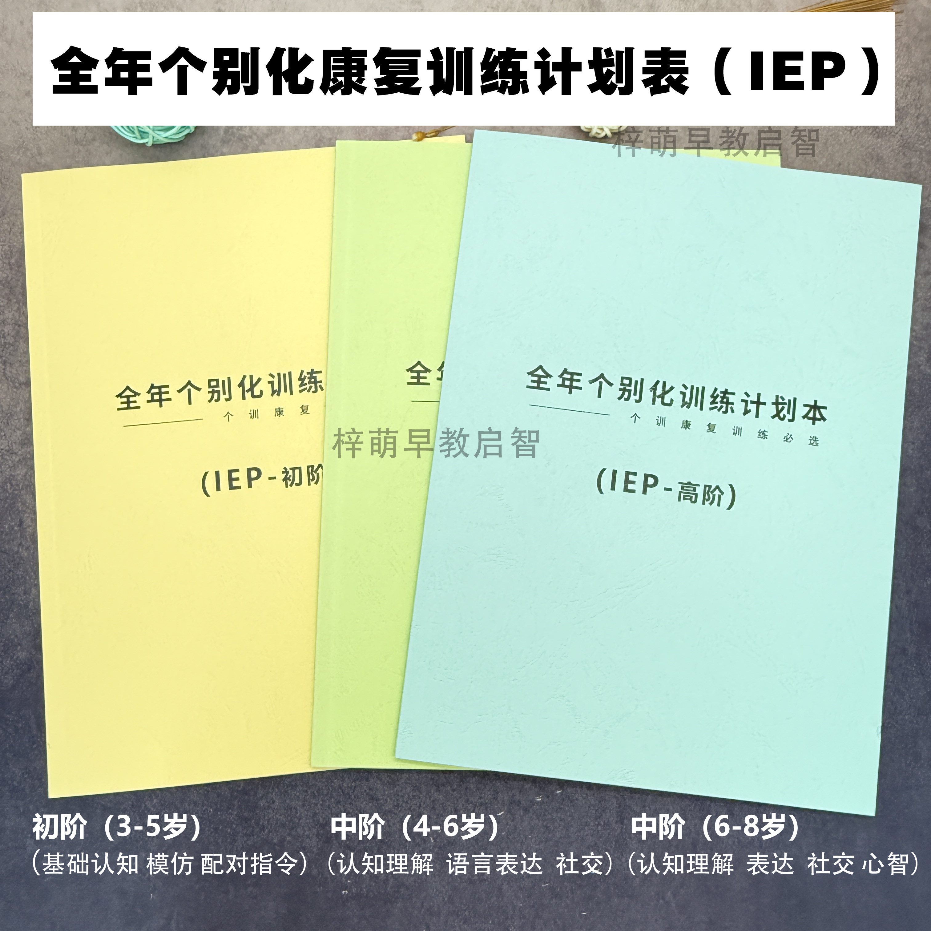 Ежегодная индивидуальная программа реабилитационного тренинга для начинающих, средних и продвинутых (IEP)