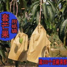 сумки манго фото