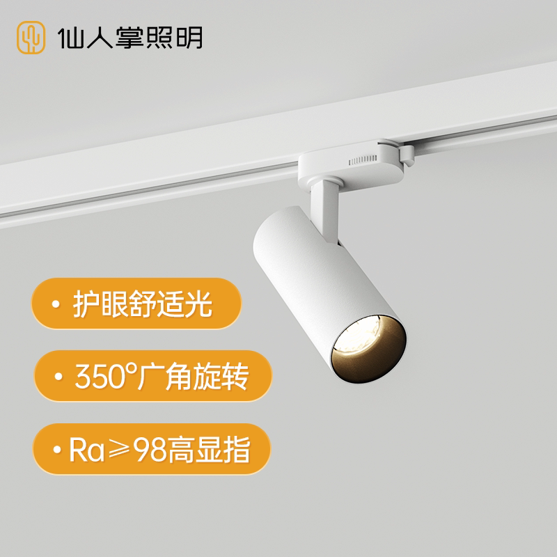 Cactus lighting встроенный трековый прожектор с антибликовым покрытием, установленный на поверхности, регулируемый угол наклона без основного освещения, фоновый настенный прожектор для спальни