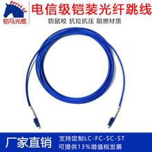 Fiber optic equipment, ten-year old store, with over 20 different lengths of fiber optic armored jumpers, armored tail fiber armored optical cables, Guangdong ten-year old store, warranty for 3 years, 1 piece free of shipping