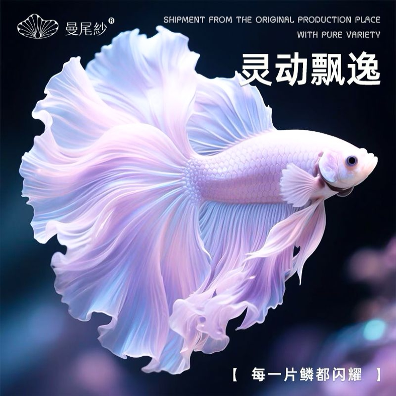 Декоративный мальок Manweisha Thai betta, тропическая пресноводная рыба для мелких домашних животных, высококачественный полумесяц, прочный и простой в выращивании