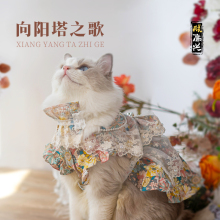 I am happy to have my pet Lolita, cat clothes, cat princess dresses, cat dresses, dog clothes, spring and autumn cloth dolls as a dowry