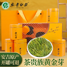 Golden Sprout Tea 2024 Official Authentic Milk White New Tea Mingqian Special 250g Gift Box Green Tea