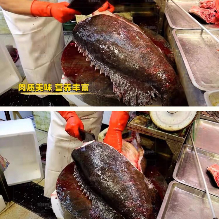 крупный морской окунь весом от 3 до 100 кг, крупная морская рыба, свежий морской окунь, свежемороженая морская горечавка, веер big dragon