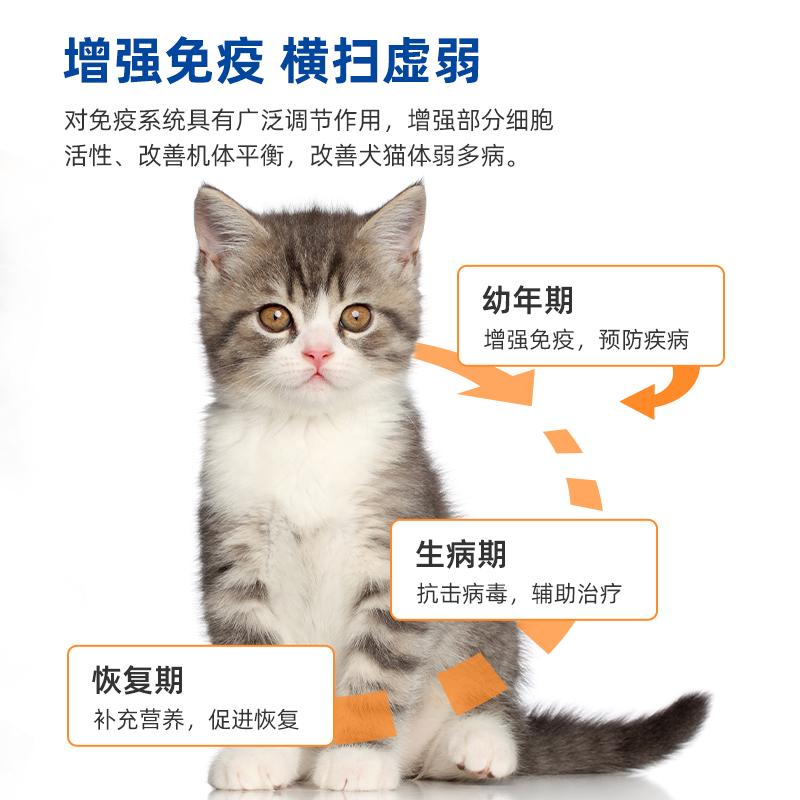 Dr. Weite Cat Три противовирусных ветеринарных препарата для домашних кошек и собак Общее питание Иммуноглобулин Для взрослых котят при чихании