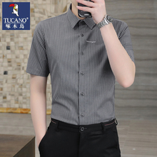 Woodpecker short sleeved shirt, men's bamboo fiber casual summer striped shirt