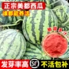 Товары от 临雅旗舰店