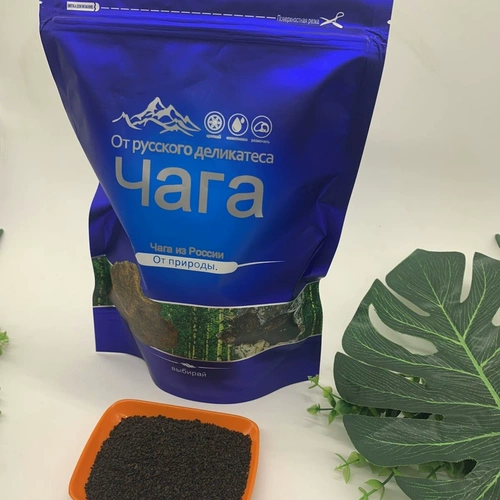 Березовая хирургия Россия импортированная береза ​​коричневые бактерии не -Чангбайя гора