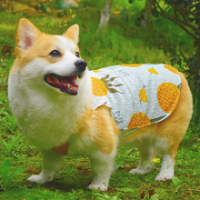 Corgi Chai Dog Dog Clothes Summer Thin Pet Teddy Bibear Schnauzer Vest Hair proof Sunscreen Vest