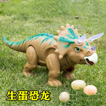 The store has had repeat customers for over a thousand years. The old store has an electric egg laying dinosaur toy, a children's triangle dragon, a double headed dragon model, and a simulated animal doll with lighting that lays eggs