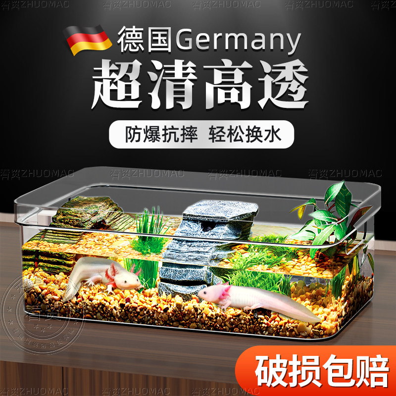 Немецкий шестиугольный специальный аквариум с динозаврами, резервуар для разведения саламандр, прямоугольный экологический акриловый аквариум для рыбы, гостиная, небольшое домашнее хозяйство
