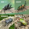 Товары от 牧野虫社