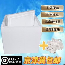 Foam box, dry ice, commercial transportation, thermal insulation, low-temperature refrigeration, special size, high density of biological vaccine