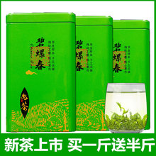 New Tea Biluochun Green Tea Buy One Jin and Get Half Jin Free