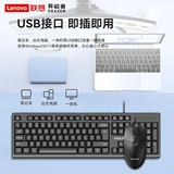 Lenovo Power Wired Keyboard and Mouse Set Отключает звук при наборе текста в офисе USB Настольный ноутбук Универсальный