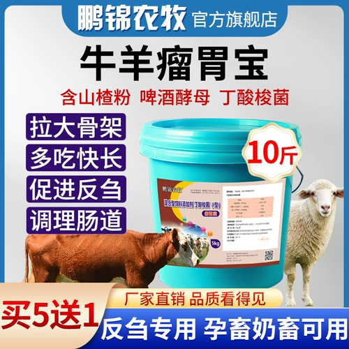 Звери с сокровищами желудка в опухолевой желудок используют живот для скота, чтобы питать желудок и устранить анти -刍 动 动 动 动 动 动 动 动 动 动 动 动 动