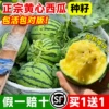 Товары от 临雅旗舰店